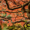 Exploring the Benefits of Decision Trees